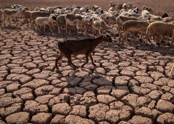 شبح العجز المائي لا يزال حاضرا بالمغرب