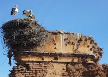 عندما يشتد النزال بين حماة المآثر التاريخية والمدافعين عن البيئة