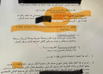 تعاونية البوغاز للسكن (19) اللص والكلاب » حين أدركنا أن الجهلة زوروا وكذبوا وغرقوا في فسادهم