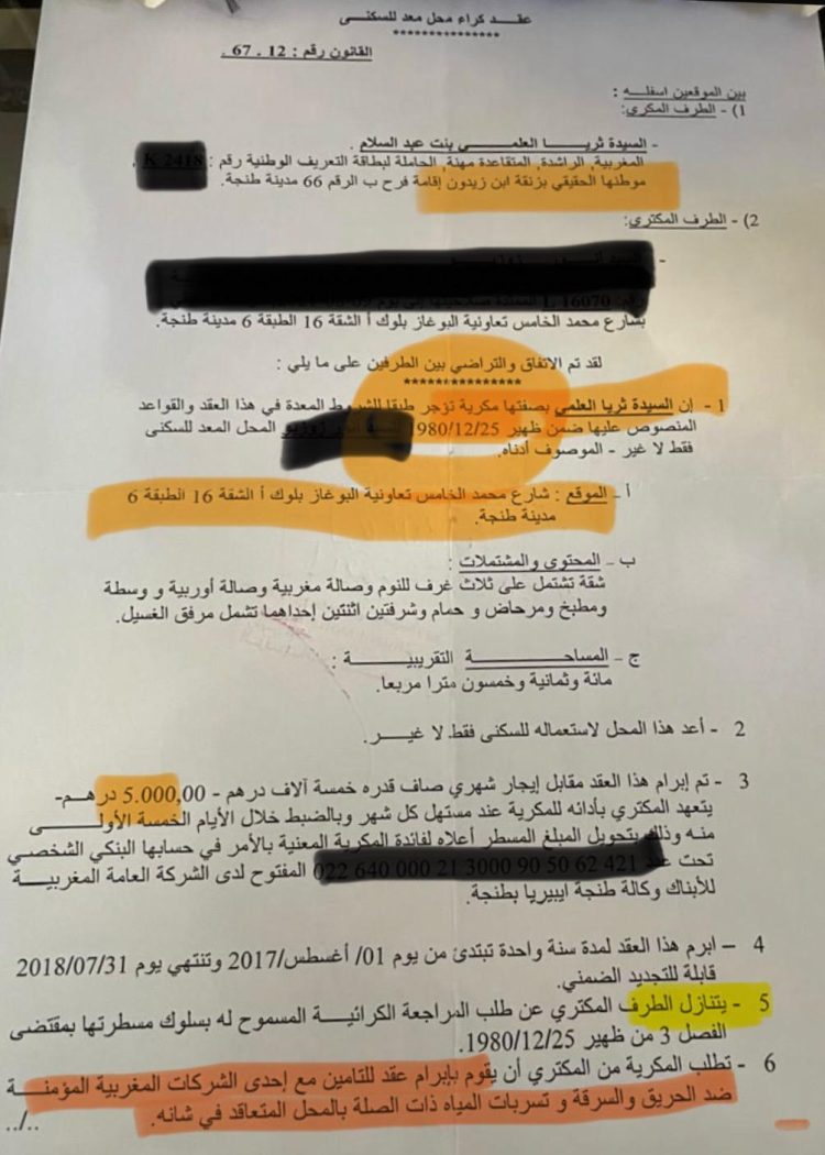 تعاونية البوغاز للسكن (19) اللص والكلاب » حين أدركنا أن الجهلة زوروا وكذبوا وغرقوا في فسادهم